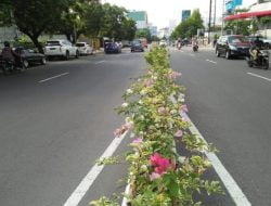 Keren, Jalan Pandanaran Sekarang Tambah Cantik