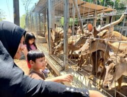 UNDIP Sediakan Wisata Taman Rusa Gratis untuk Masyarakat Umum