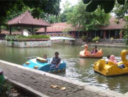 Wisata Taman Lele Semarang, Destinasi Liburan Terjangkau dengan Sendang dan Lele