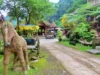 Santosa Stable: Tempat Belajar Berkuda yang Terjangkau di Sekitar Semarang