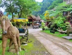 Santosa Stable: Tempat Belajar Berkuda yang Terjangkau di Sekitar Semarang