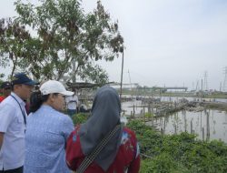Kota Semarang Kembangkan Ekowisata Mangrove Tambakrejo, Jaga Lingkungan Sekaligus Tingkatkan Ekonomi Warga
