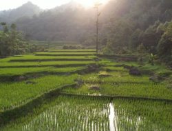 Hari Agraria 2025, Menteri Nusron Wahid Tegaskan Pembangunan Tak Boleh Hanya Berorientasi Investasi