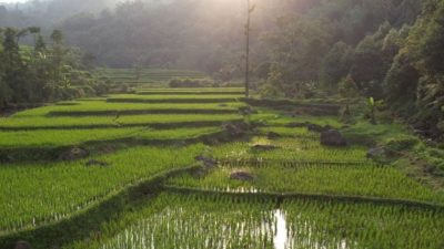 Hari Agraria 2025, Menteri Nusron Wahid Tegaskan Pembangunan Tak Boleh Hanya Berorientasi Investasi