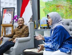 Bye Solar! Karimunjawa Pasang Teknologi Canggih China Demi Green Tourism