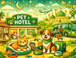 Pet Hotel vs Cat Sitter: Solusi Penitipan Hewan Semarang 2026
