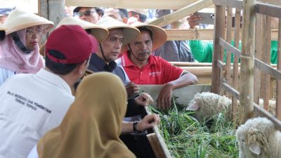Setya Arinugroho tinjau lahan pertanian terpadu program Revola di Banjarnegara