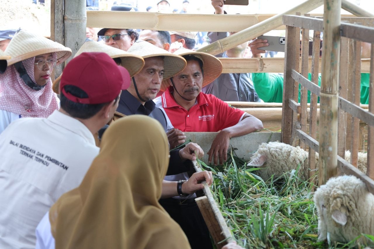 Setya Arinugroho tinjau lahan pertanian terpadu program Revola di Banjarnegara