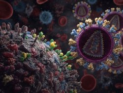 Kasus HIV Jateng Capai Ribuan dan Pola Penularan Bergeser, DPRD Desak Evaluasi Total dan Kebijakan Berbasis Data