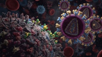 Ilustrasi mikroskopis yang menunjukkan struktur virus Human Immunodeficiency Virus (HIV) berbentuk bulat dengan tonjolan permukaan (spike), menempel pada membran sel inang.