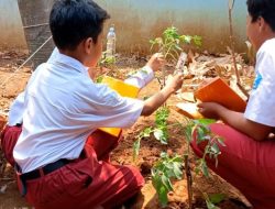 Terinspirasi Makan Bergizi Gratis, Siswa SD di Semarang Sulap Lahan Kosong Jadi Laboratorium Pertanian Digital