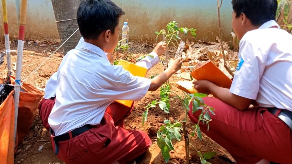 Siswa SD Negeri Nongkosawit 01 Semarang belajar ekosistem di kebun sekolah melalui program Lumbung Petani Cilik.