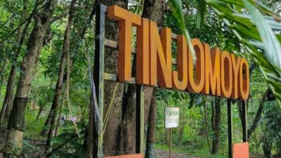 Pengunjung menikmati suasana rindang dan estetis di Hutan Wisata Tinjomoyo, Semarang, yang kini dilengkapi jembatan dan jalur pejalan kaki yang tertata rapi.