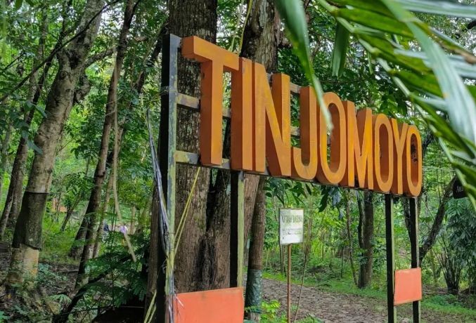 Pengunjung menikmati suasana rindang dan estetis di Hutan Wisata Tinjomoyo, Semarang, yang kini dilengkapi jembatan dan jalur pejalan kaki yang tertata rapi.