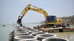 Benteng Beton dan Mangrove di Sayung, Ikhtiar Mengembalikan Daratan Demak yang Terkikis Abrasi