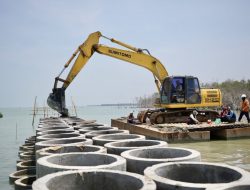 Benteng Beton dan Mangrove di Sayung, Ikhtiar Mengembalikan Daratan Demak yang Terkikis Abrasi